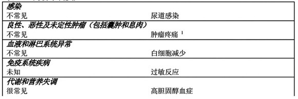 图片预览
