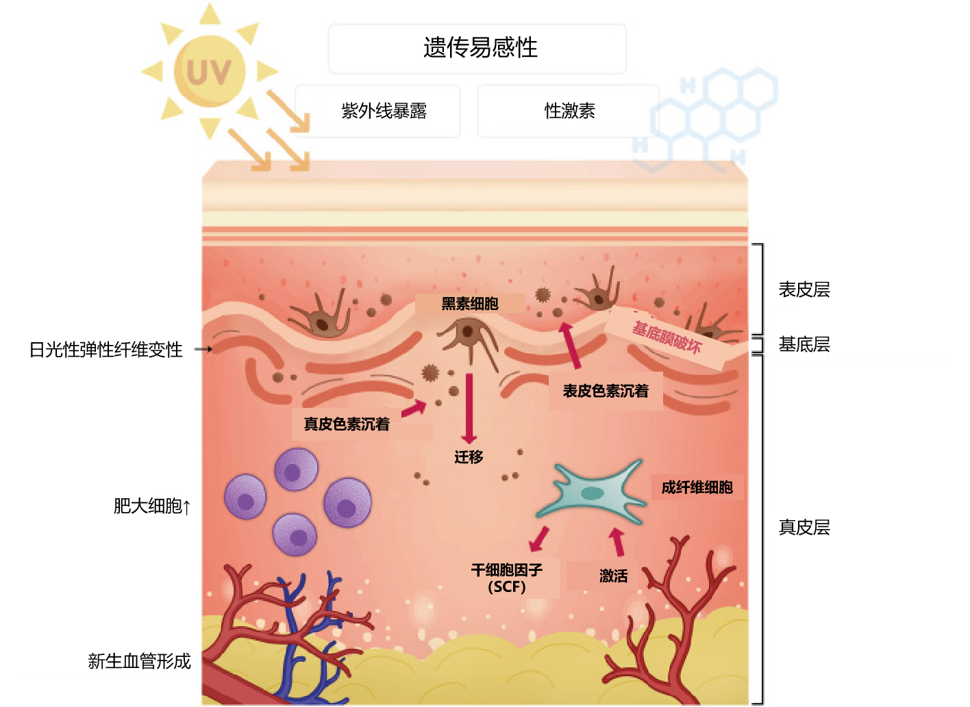 图片预览