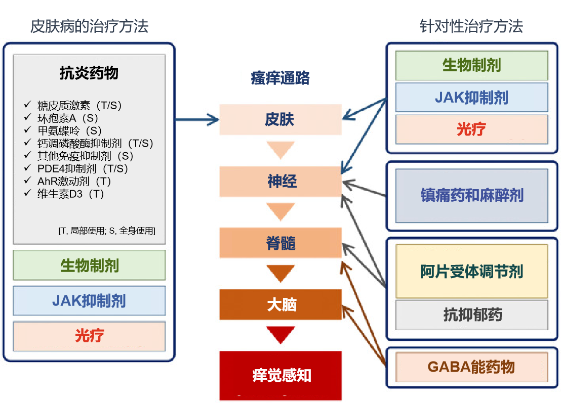 图片预览