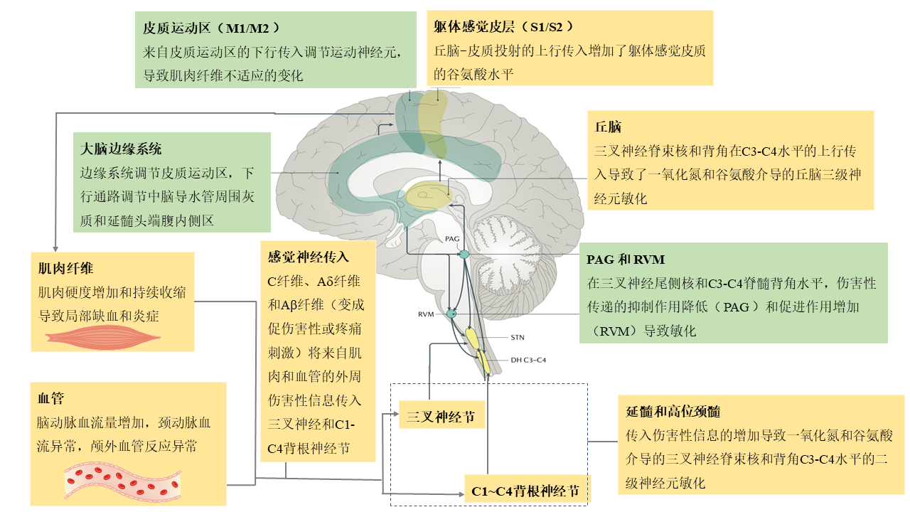 图片预览