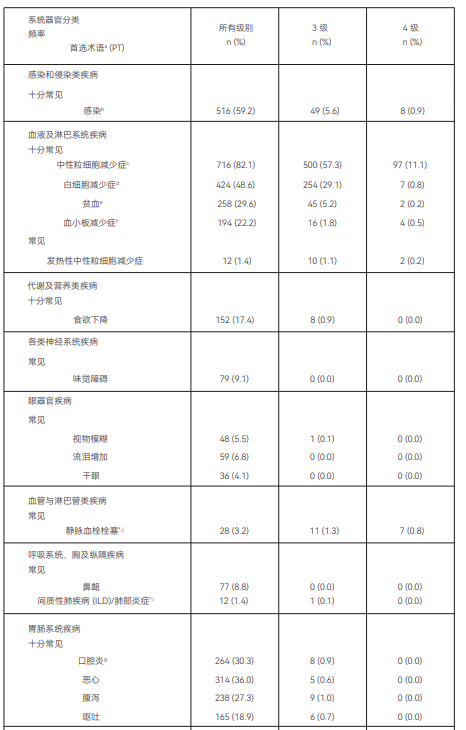 图片预览