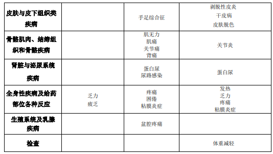 图片预览