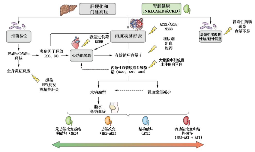 图片预览