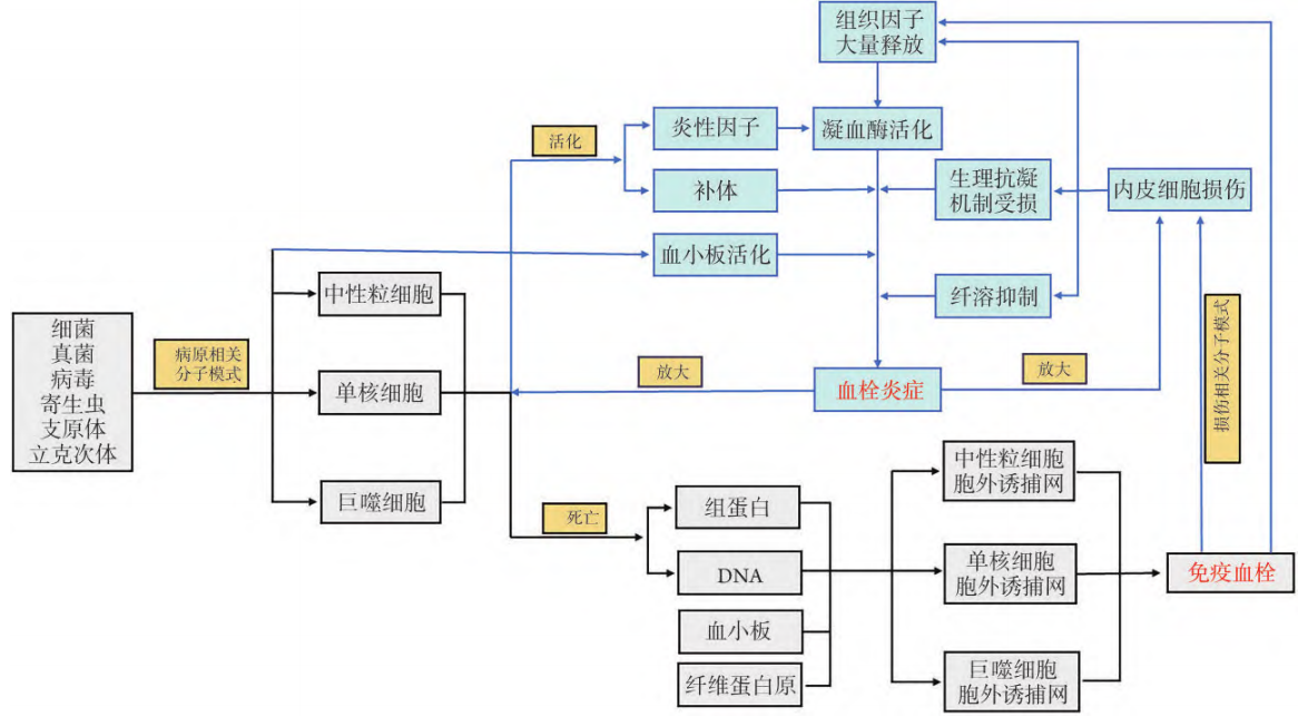 图片预览
