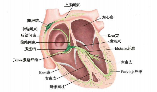图片预览