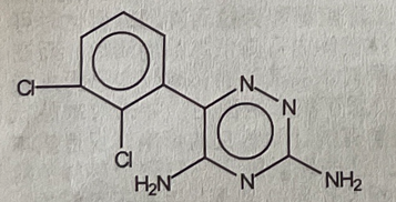 利必通（拉莫三嗪片）