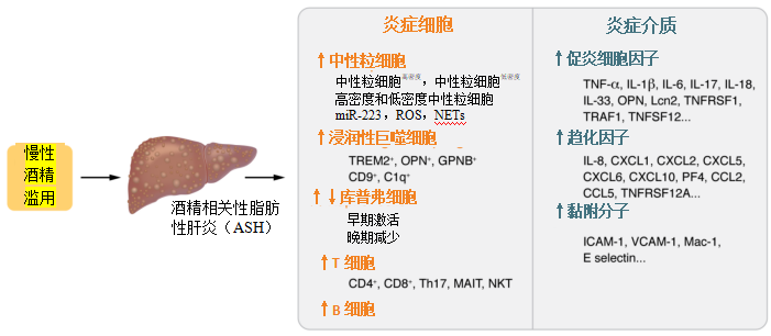 图片预览