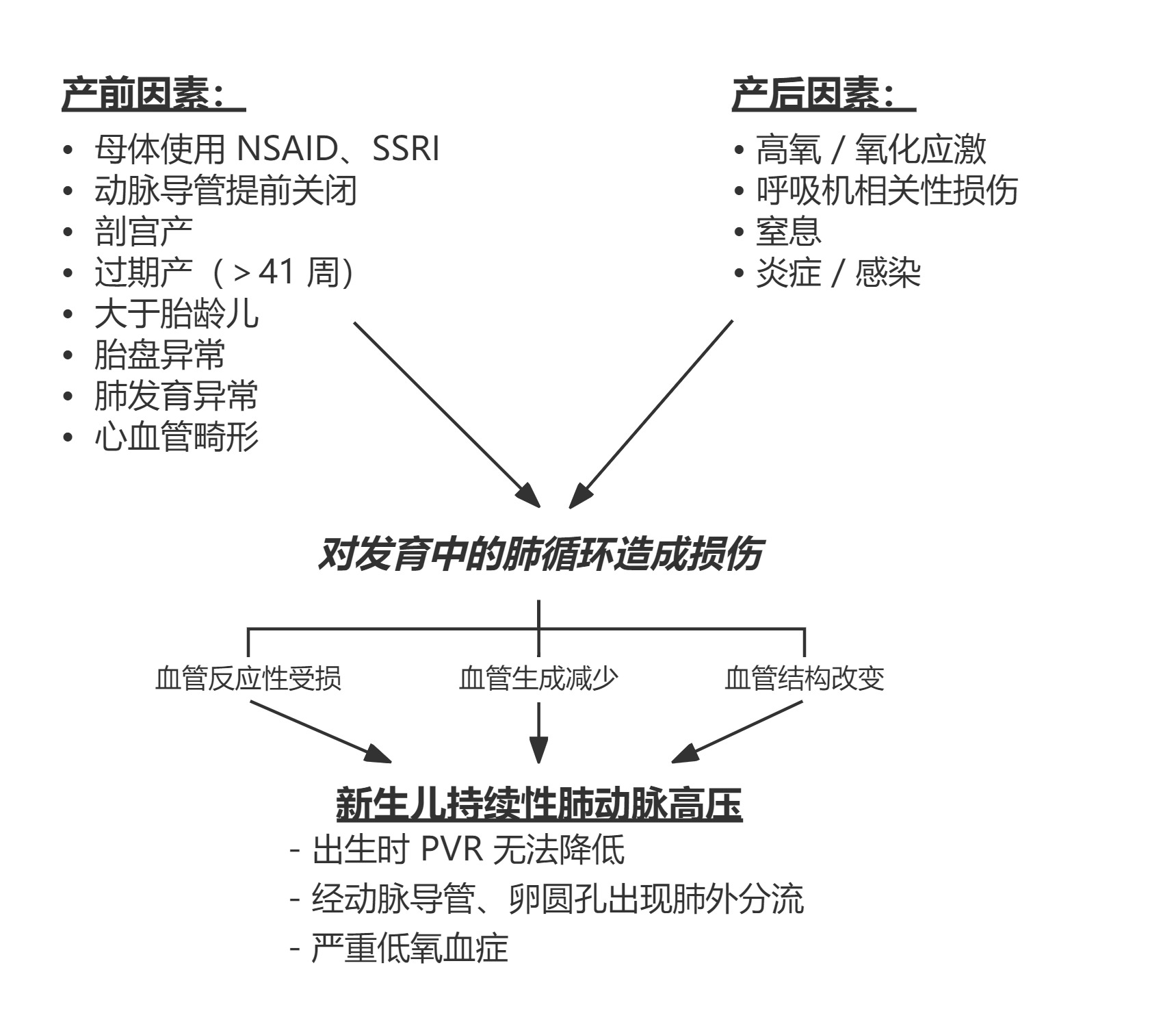 图片预览