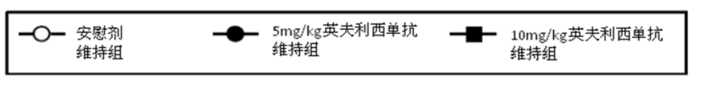 图片预览