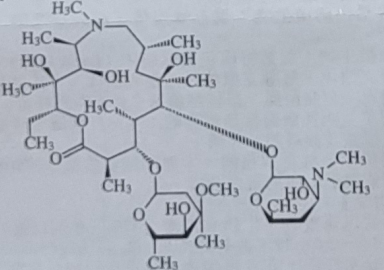图片预览