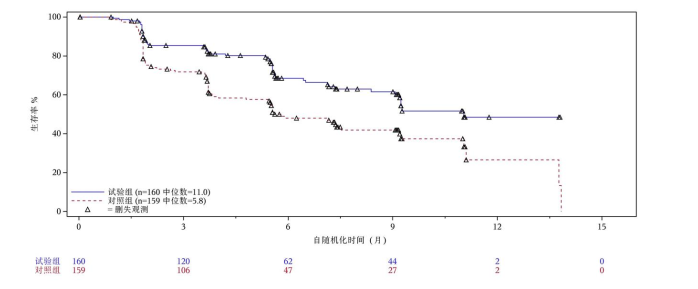 图片预览