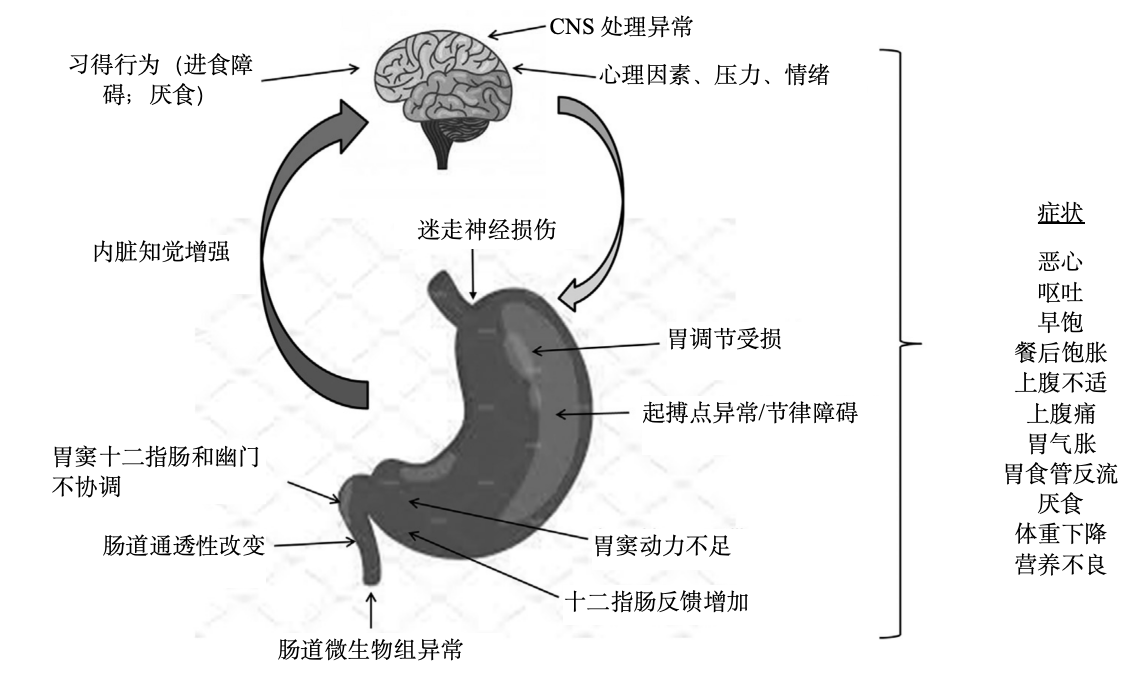 胃轻瘫