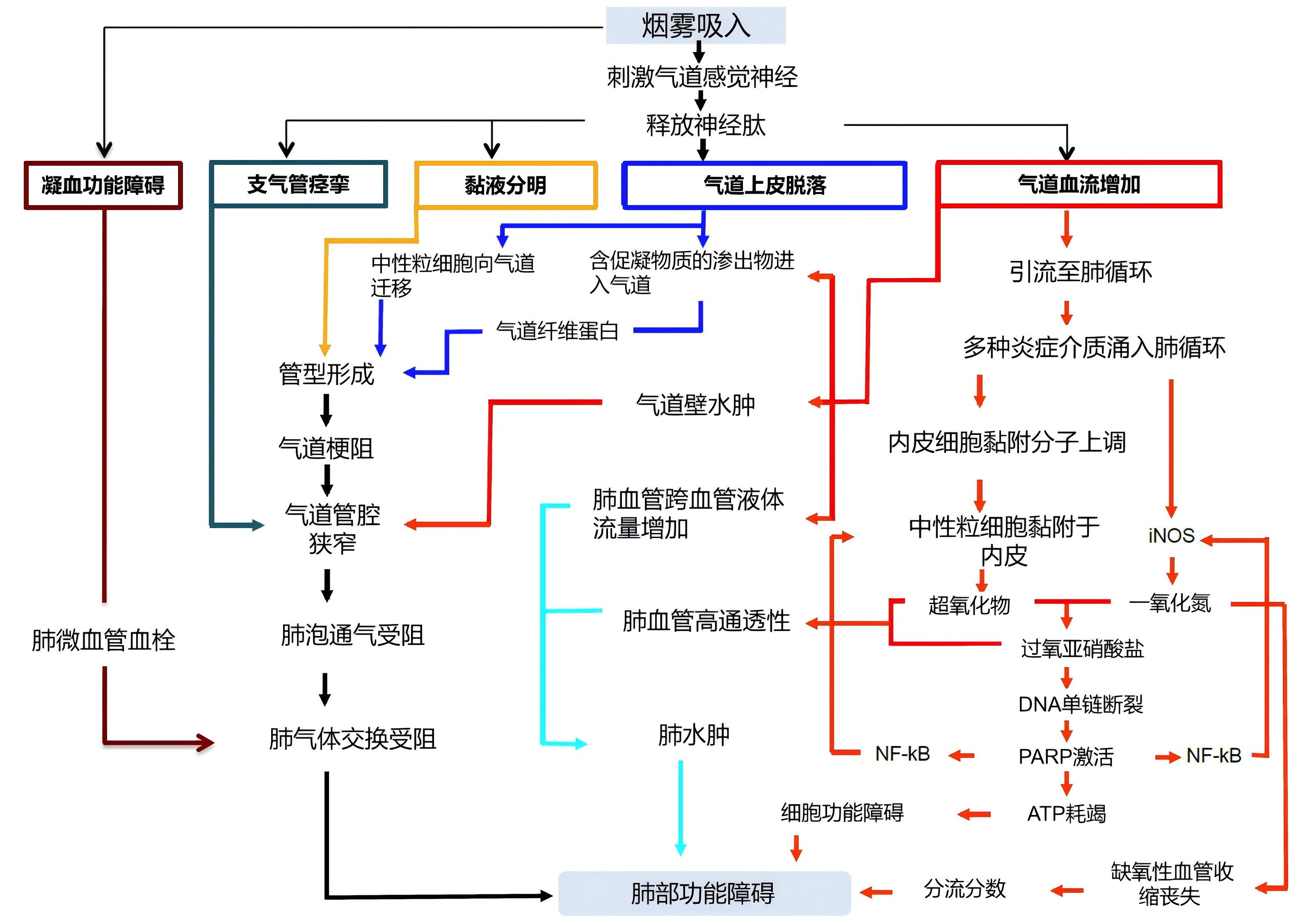 图片预览