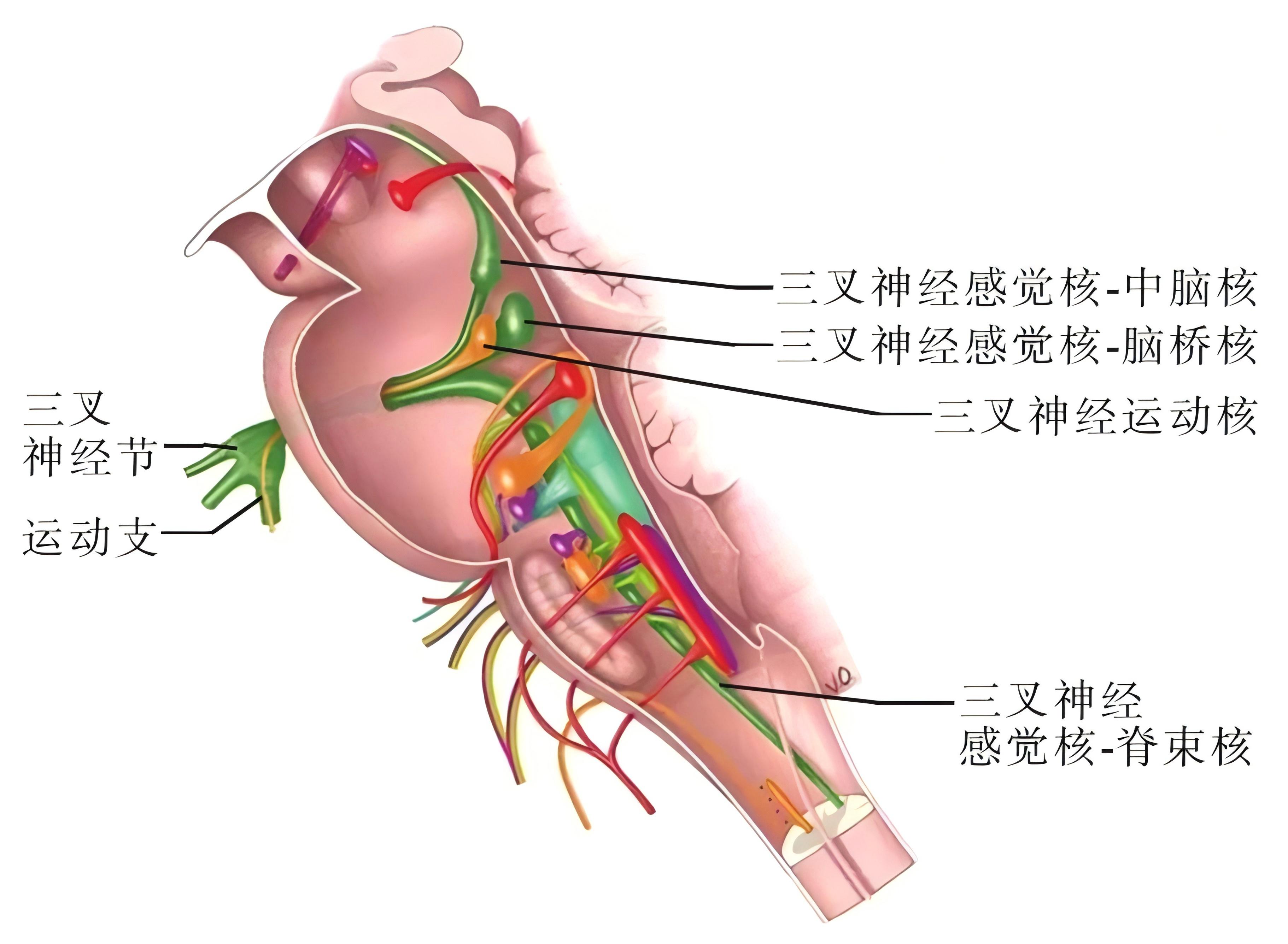 图片预览