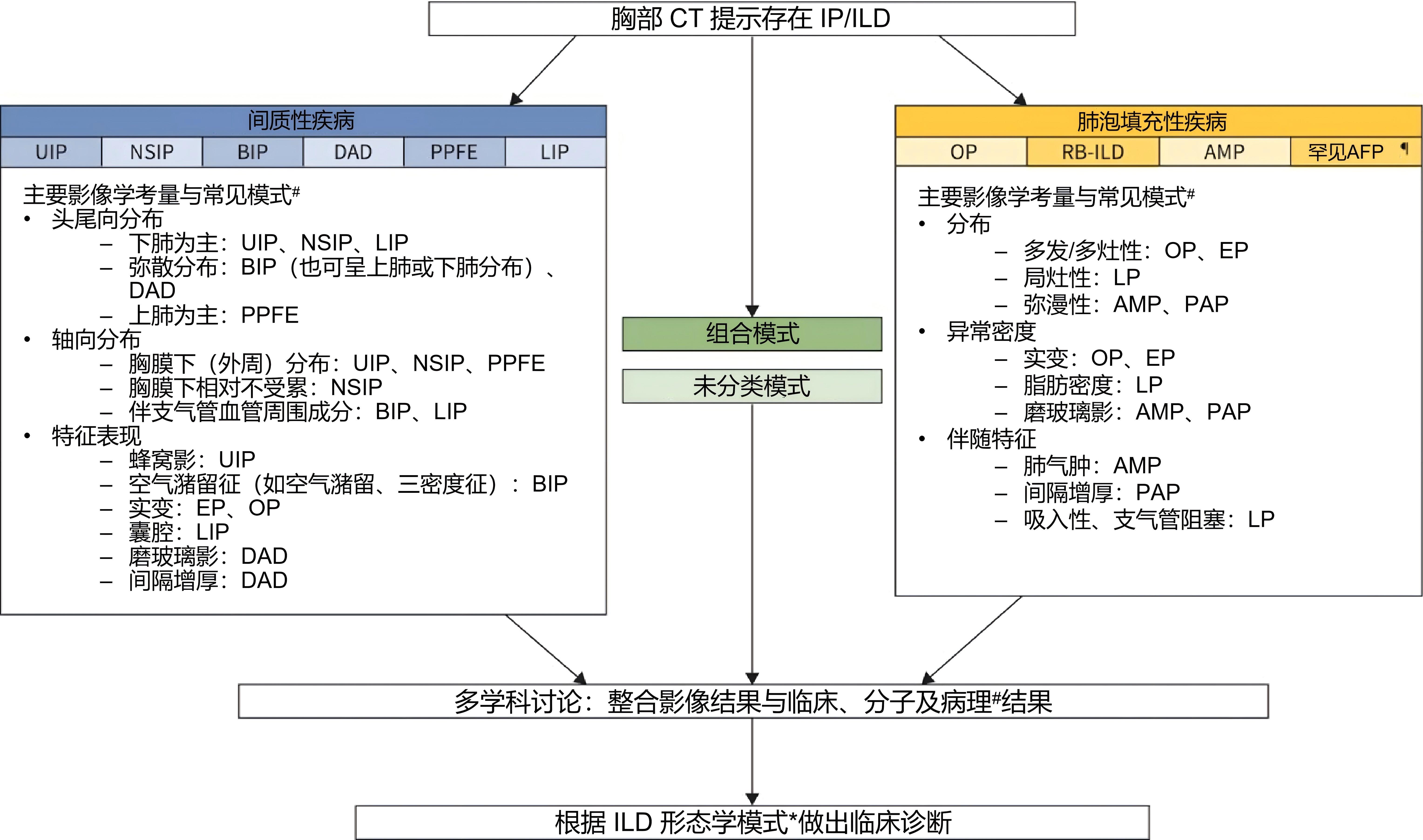 间质性肺疾病概述