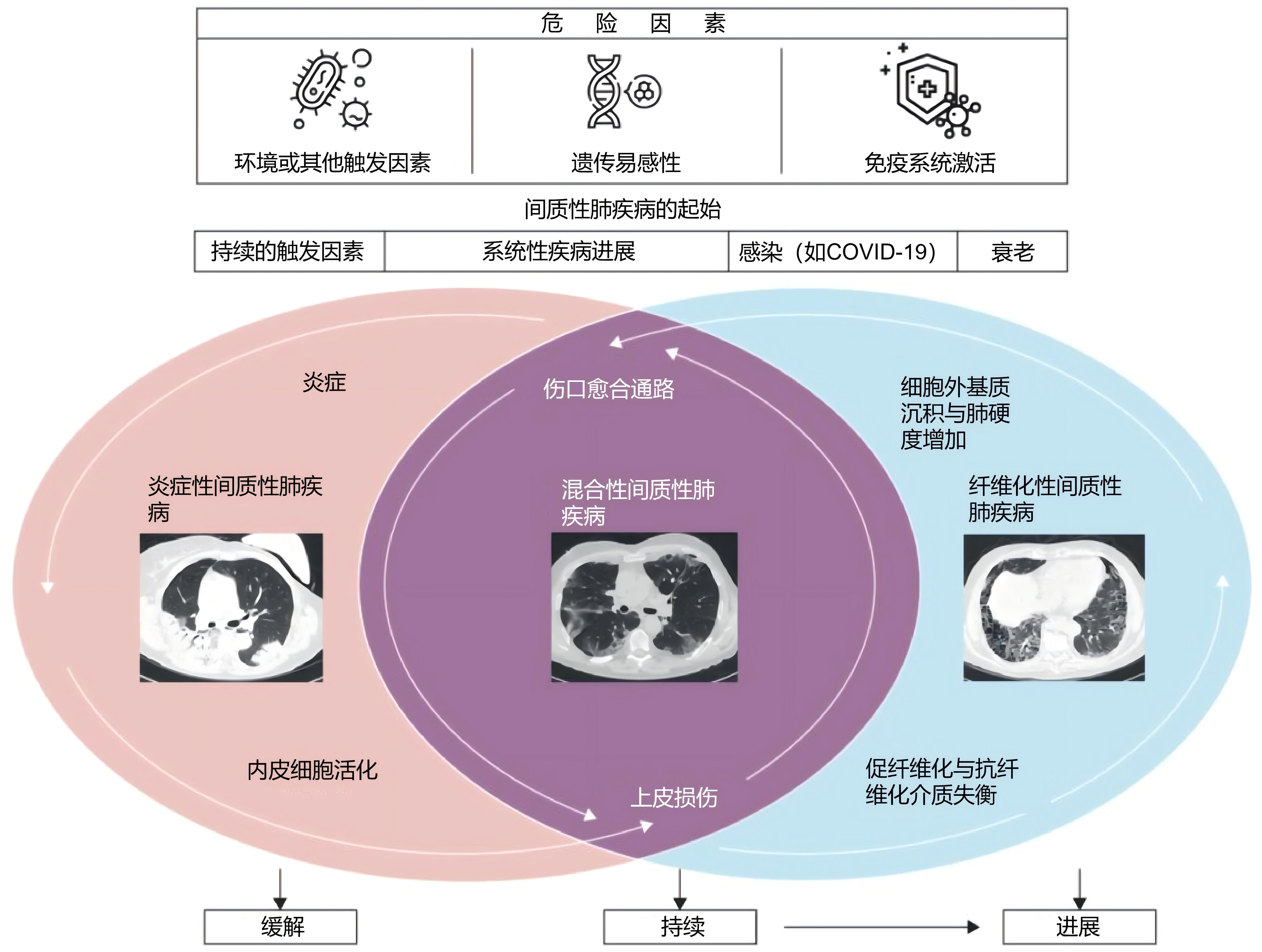 图片预览
