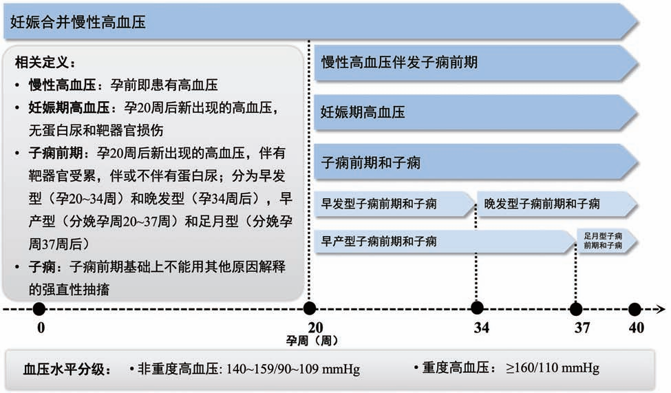 图片预览