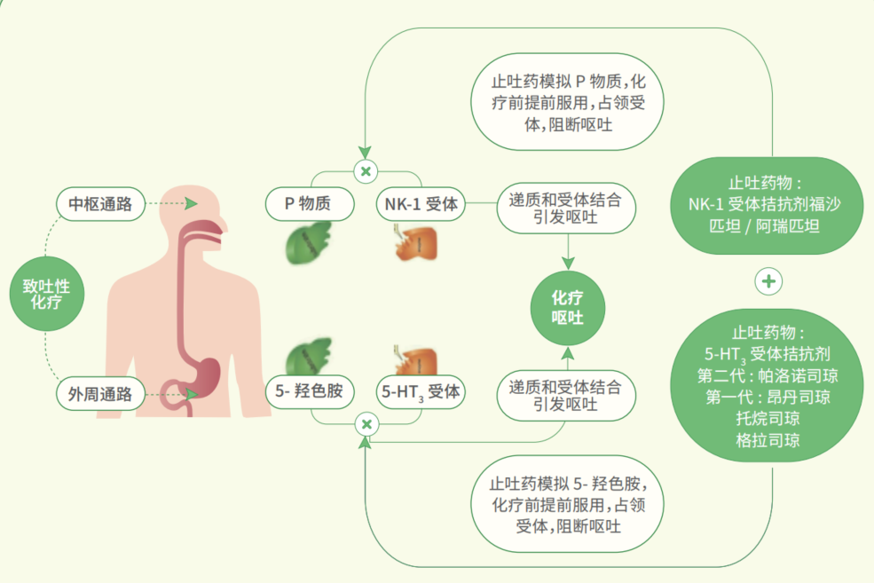 图片预览