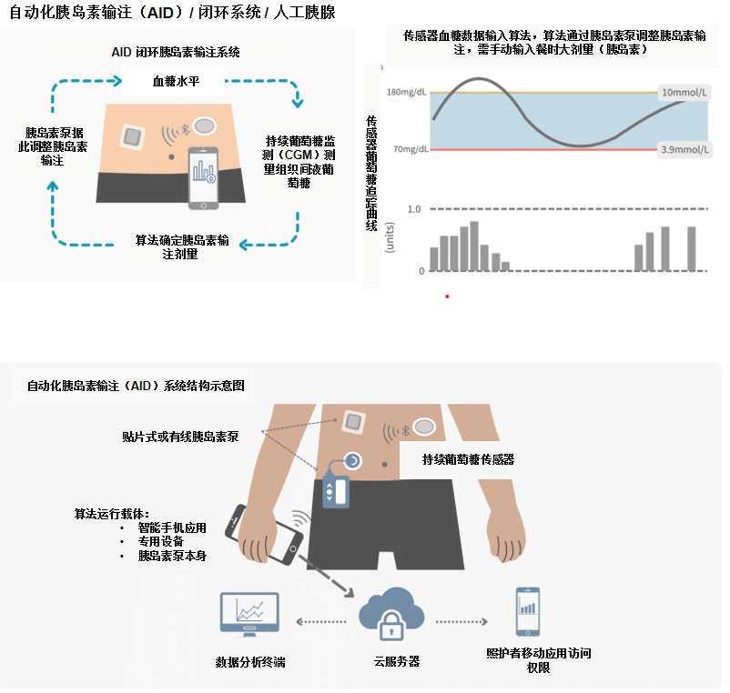 图片预览