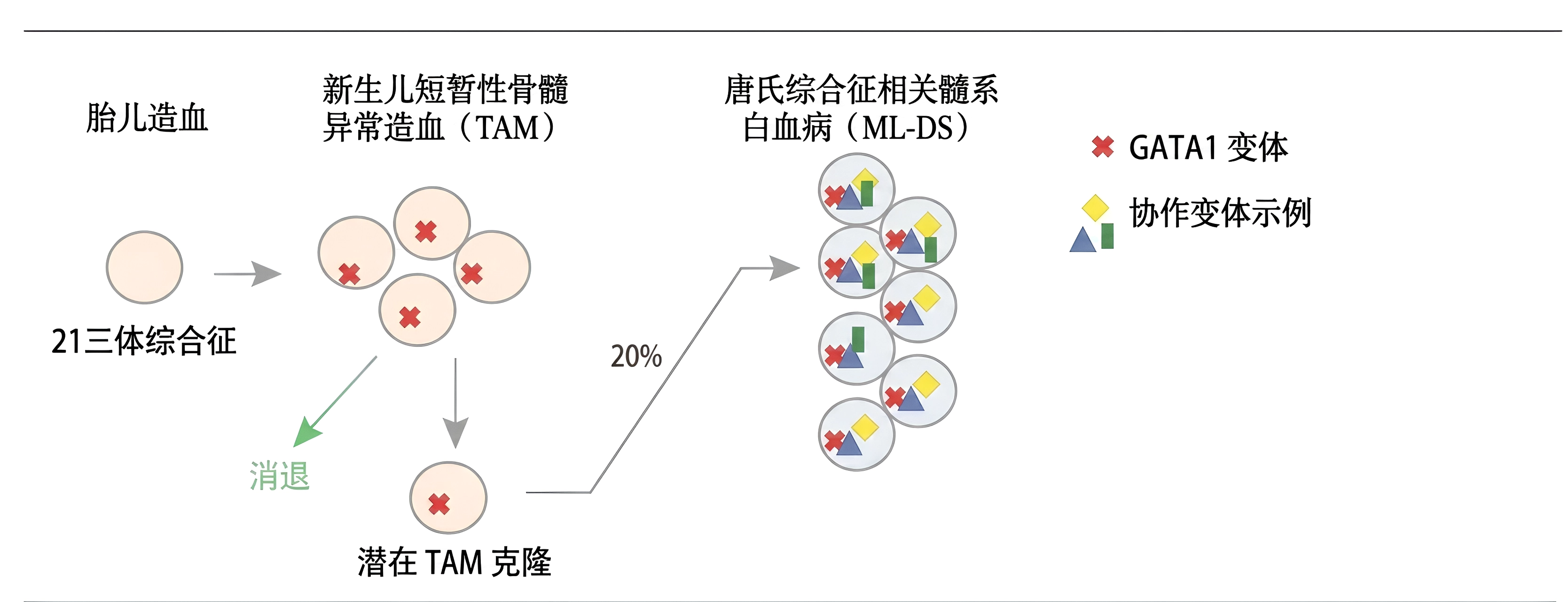 图片预览