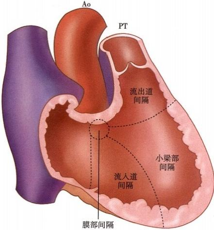 图片预览