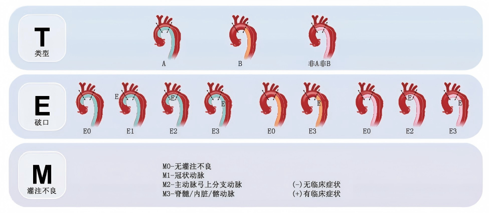 图片预览