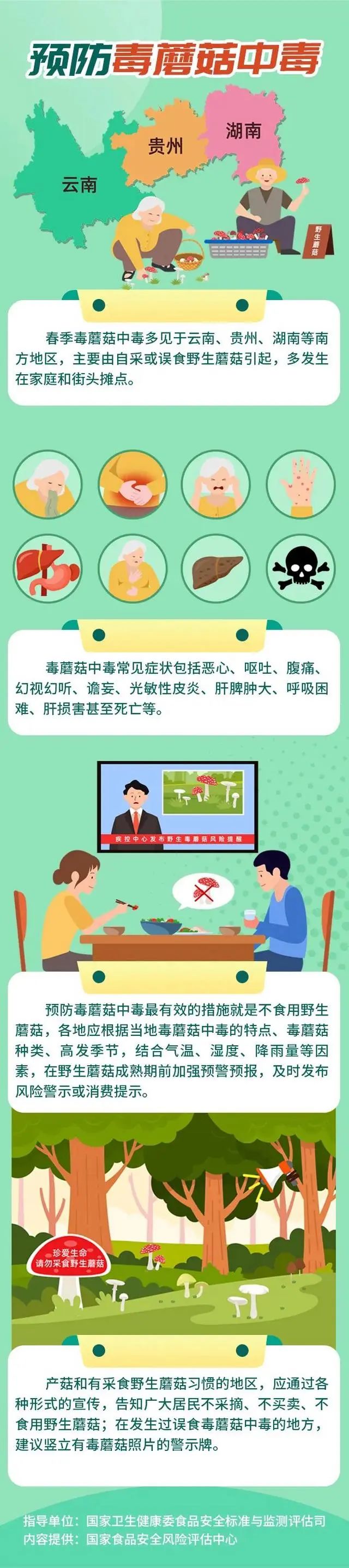 「索命菇」高峰期又来！别让「毒王」现身你的餐桌