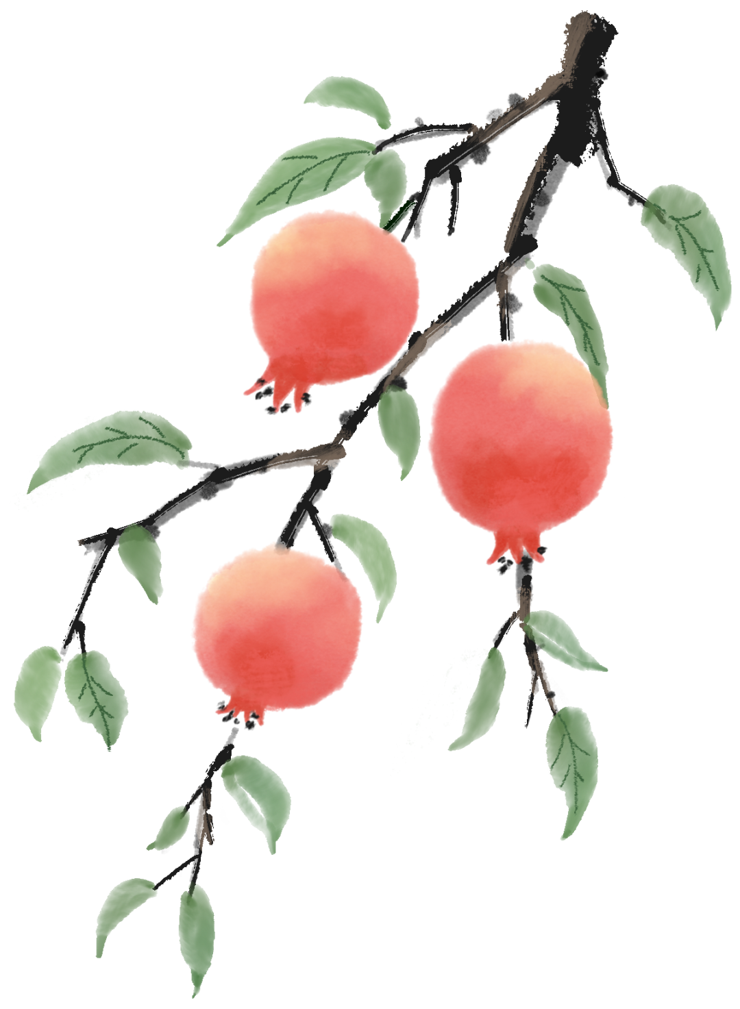 预防登革热,小心白纹伊蚊