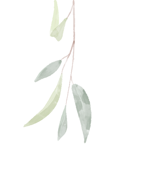 守医者初心，传师者薪火——金堂县第一人民医院召开教师座谈会