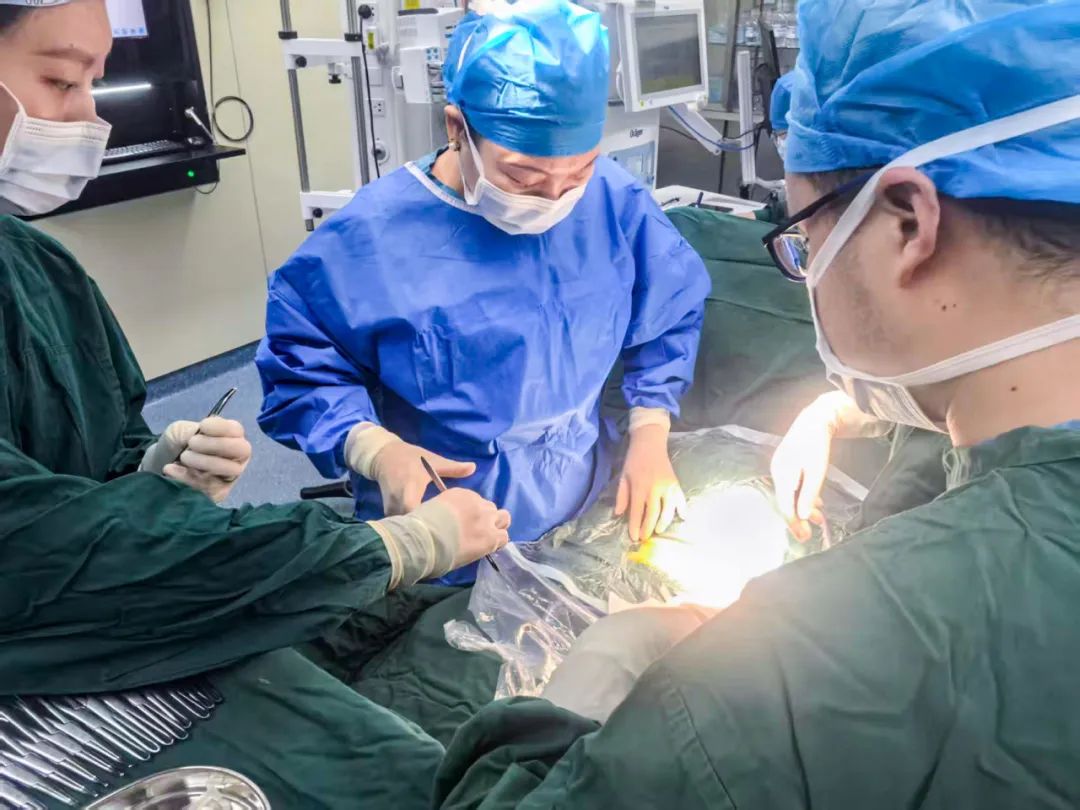 生命时速|子痫孕妇绝地重生