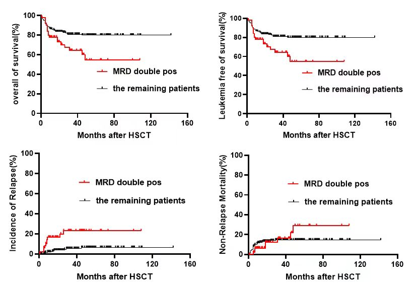 EBMT 2025 丨卢岳主任：「移」路春晖，CR 与 MRD 照亮 KMT2A 重排急性白血病预后之路