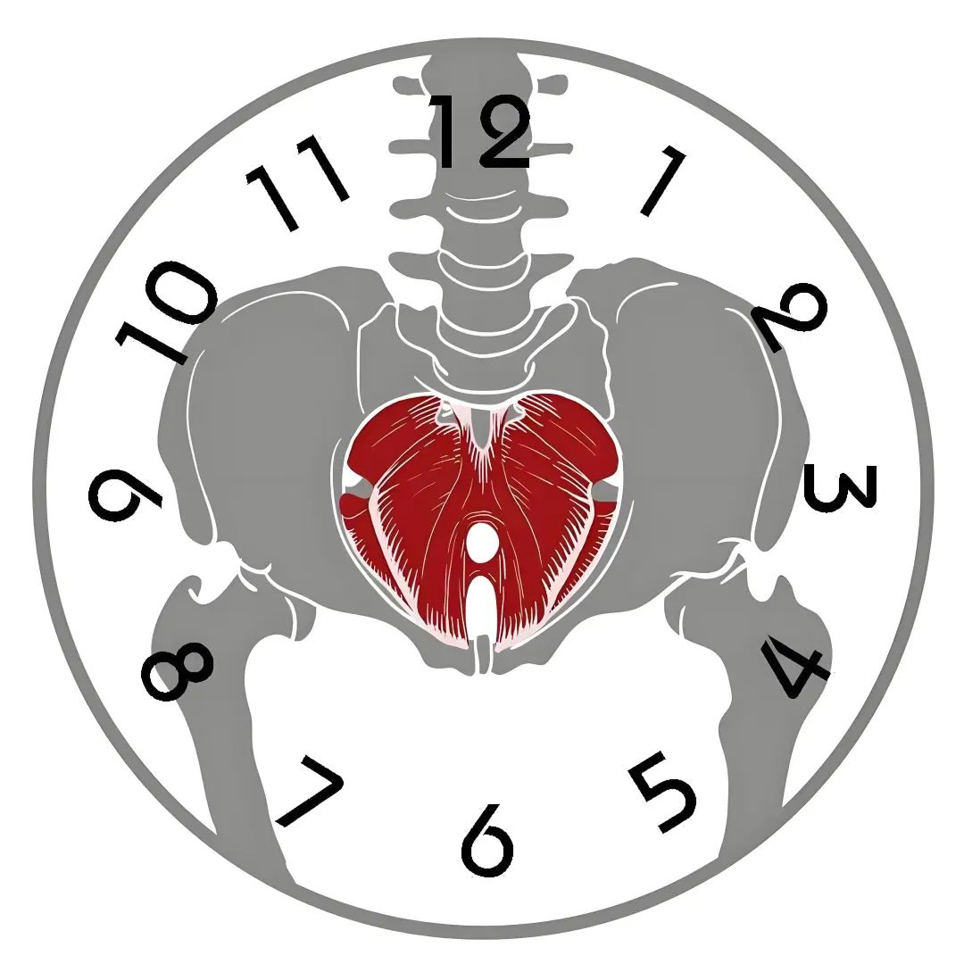 长短腿、走路歪  真凶竟在骨盆里？