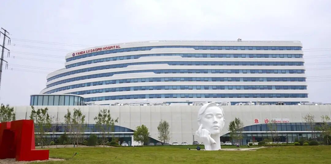 以爱为名，以「培」相伴：陆道培医疗集团系列人文活动温暖启幕，共筑有温度的医疗家园