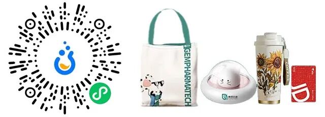 选错小鼠，10 万经费打水漂！为啥免疫研究要用更「像人」的小鼠