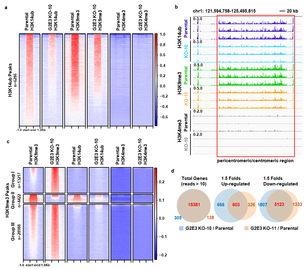 华东师范大学最新 Nature!或改写教科书
