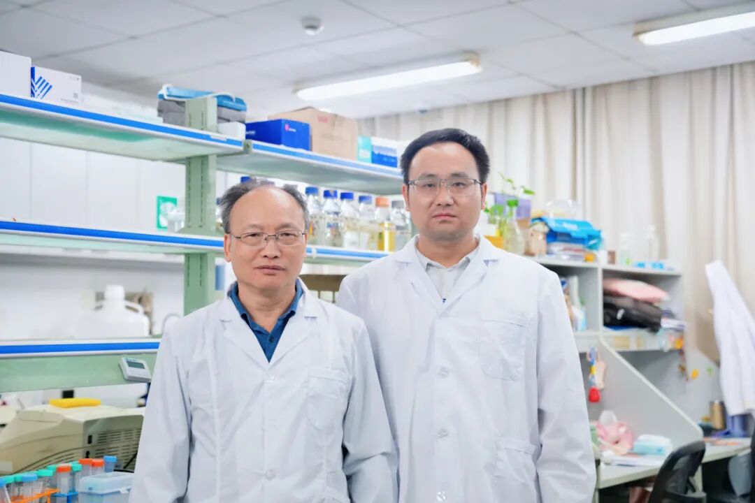 华东师范大学最新 Nature!或改写教科书