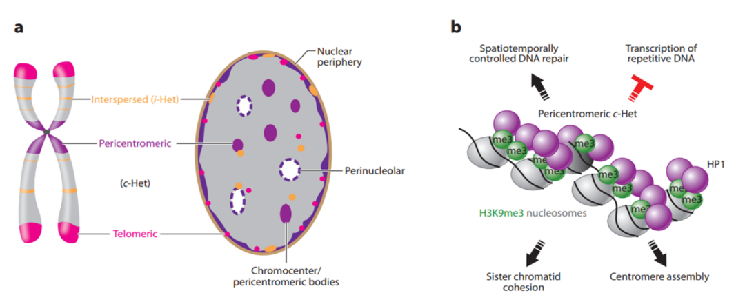 华东师范大学最新 Nature!或改写教科书