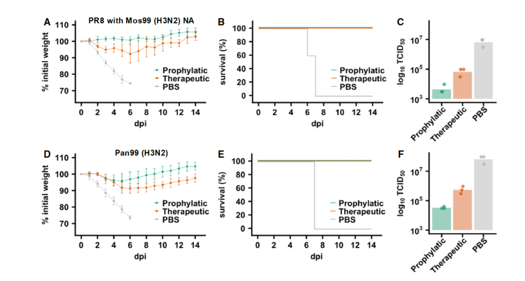 Cell Host：吕惠彬等探究 H3N2 抗体进化获得 H5N1 交叉保护机制