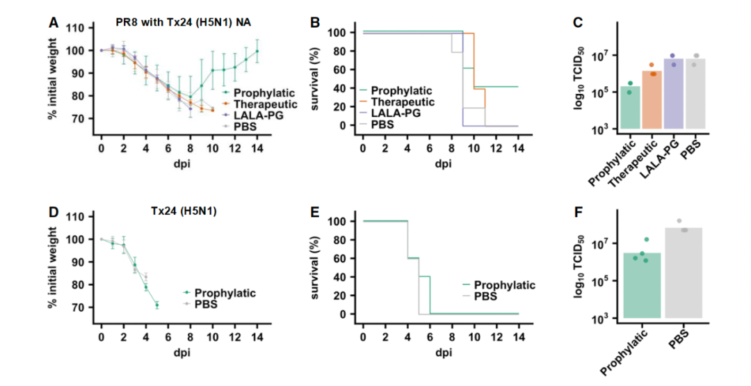 Cell Host：吕惠彬等探究 H3N2 抗体进化获得 H5N1 交叉保护机制