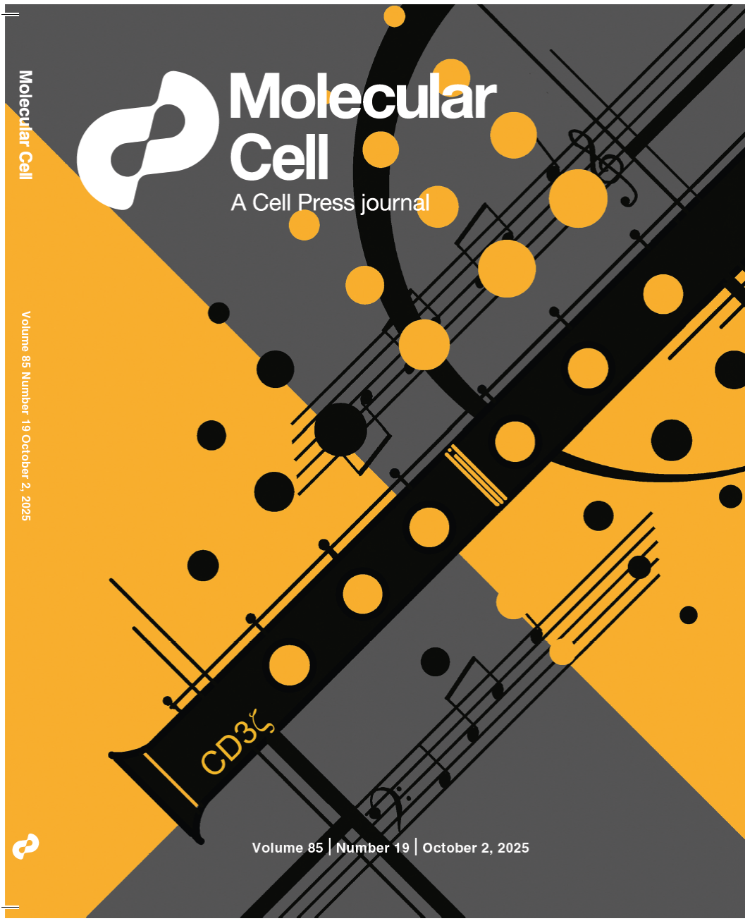 六孔长笛登上顶刊封面 | 来自中国科学院/上海科技大学团队