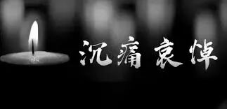 讣告 | 沉痛悼念胡金莲教授