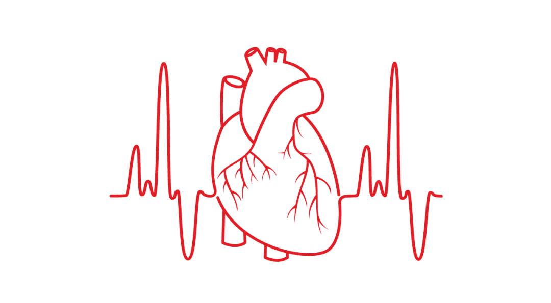 已进入高发期!我们 24 小时待命