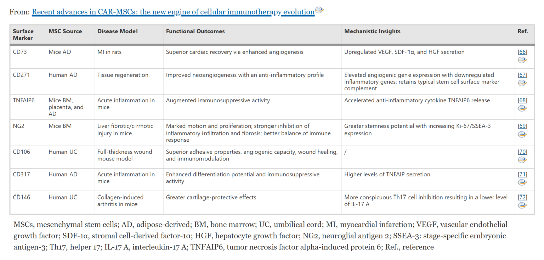IF 40.4:陆军军医大学发表 CAR-MSCs 细胞治疗策略