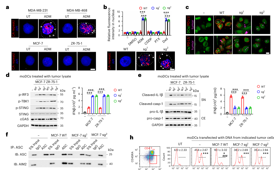 中山大学宋尔卫院士团队连发两篇!