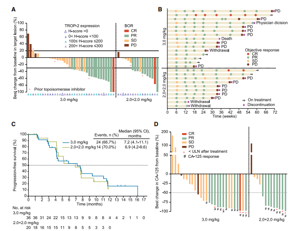 Cancer Cell：北京协和医学院肿瘤学领域新进展