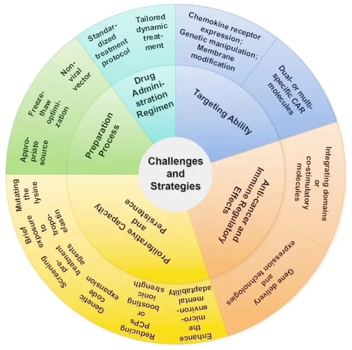IF 40.4:陆军军医大学发表 CAR-MSCs 细胞治疗策略