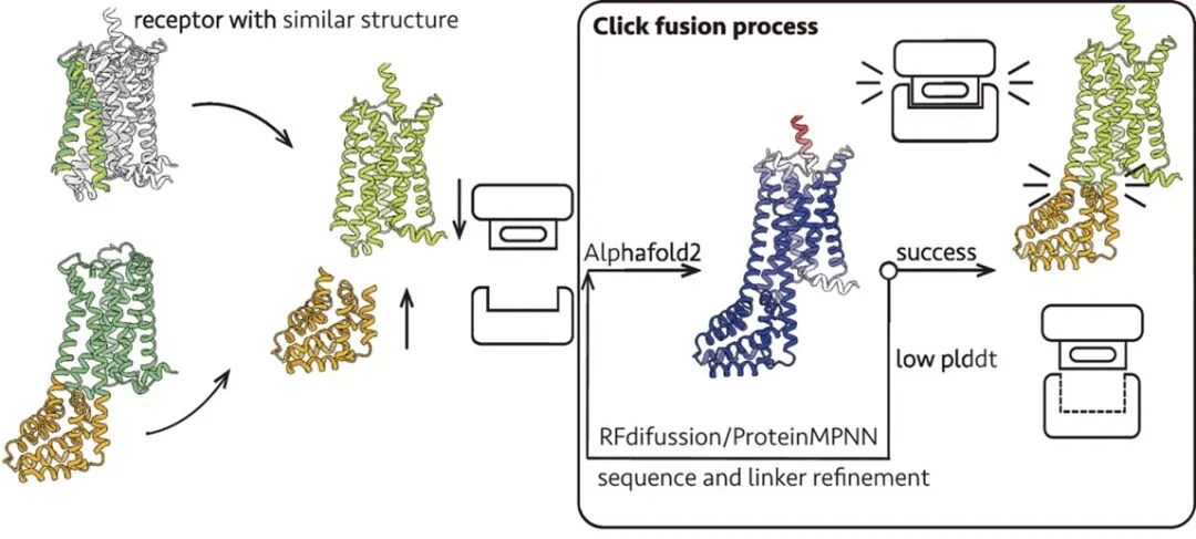 清华大学刘翔宇团队连发两篇 PNAS
