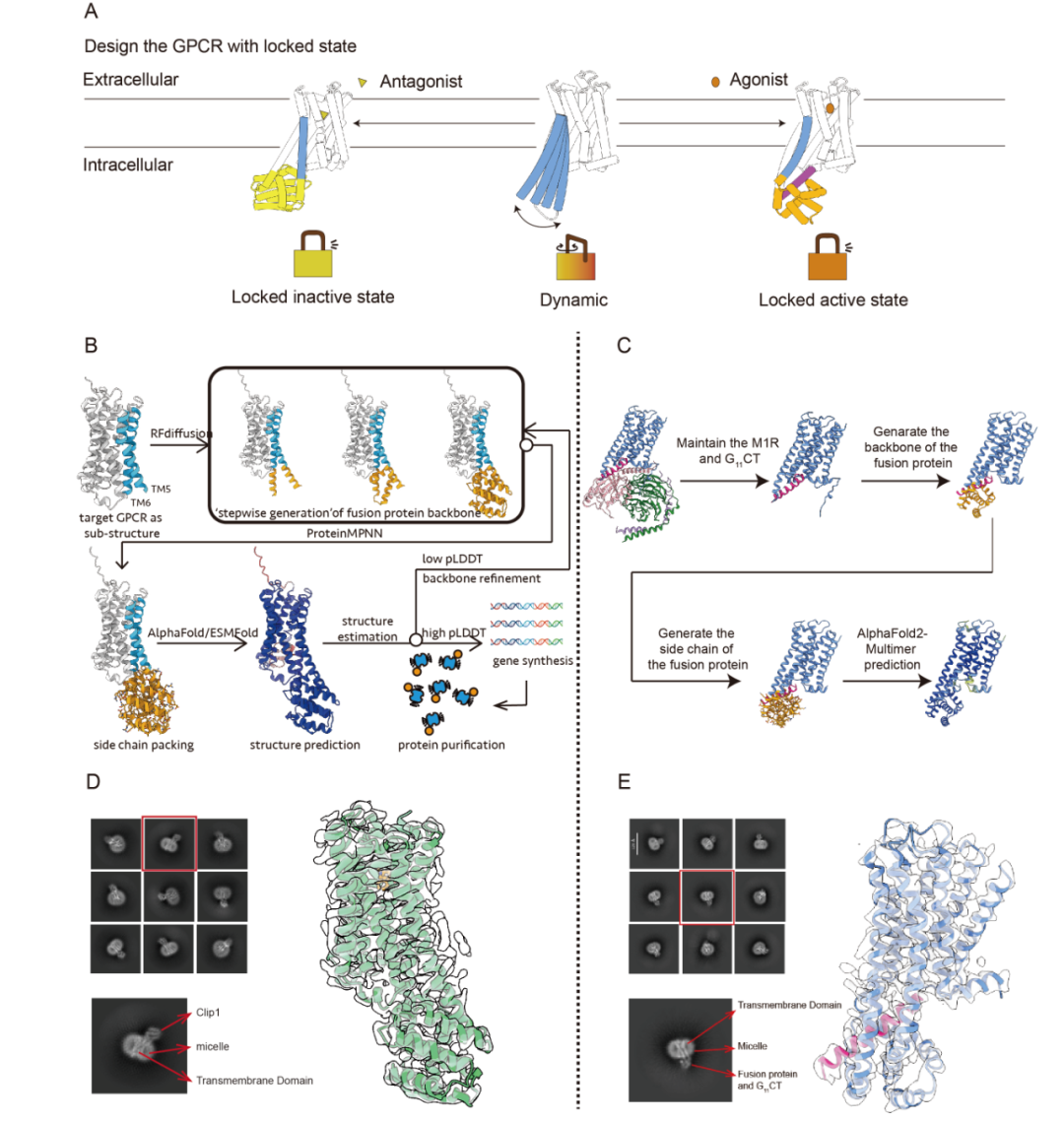 清华大学刘翔宇团队连发两篇 PNAS