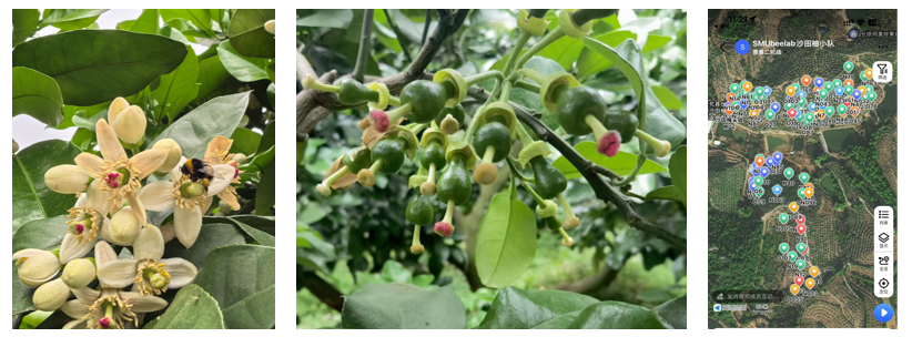 南方医科大学原创科研成果登上 Science 封面