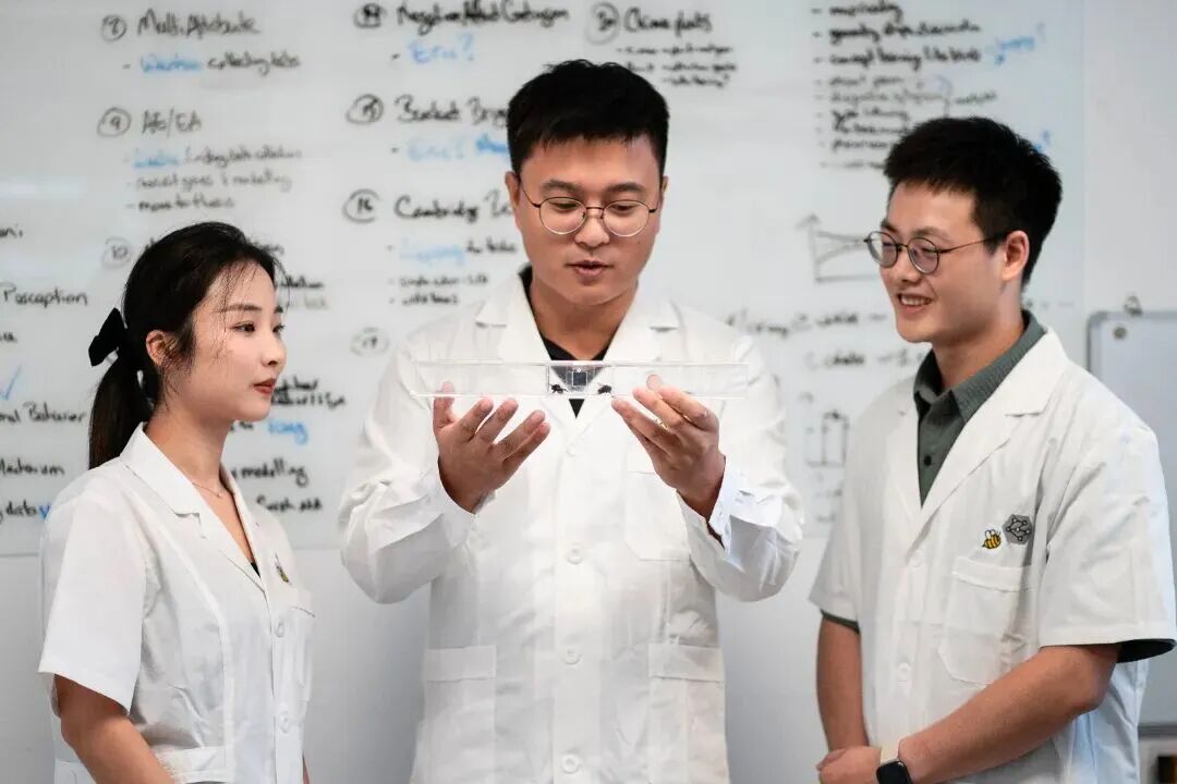 南方医科大学原创科研成果登上 Science 封面